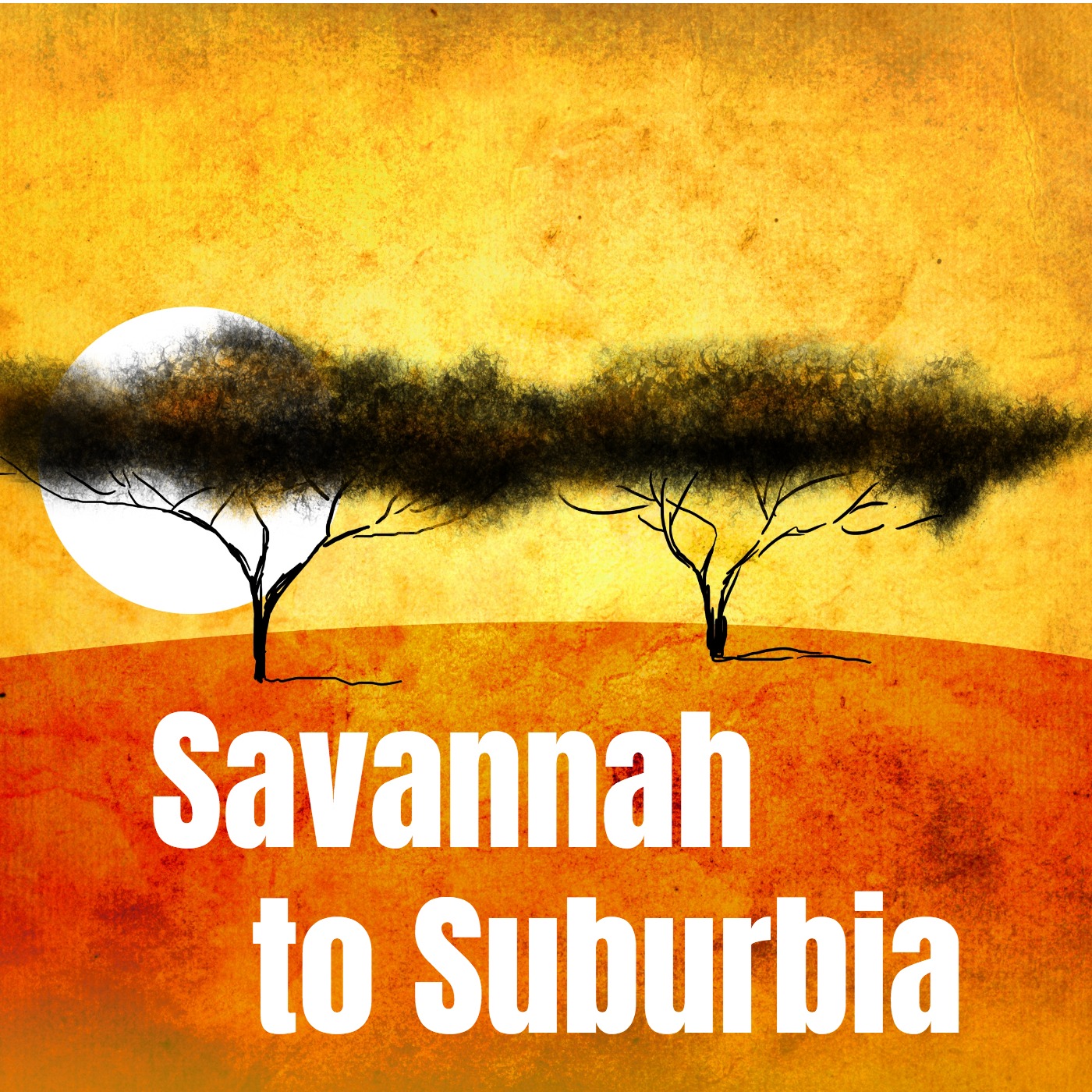 Savannah to Suburbia Podcast